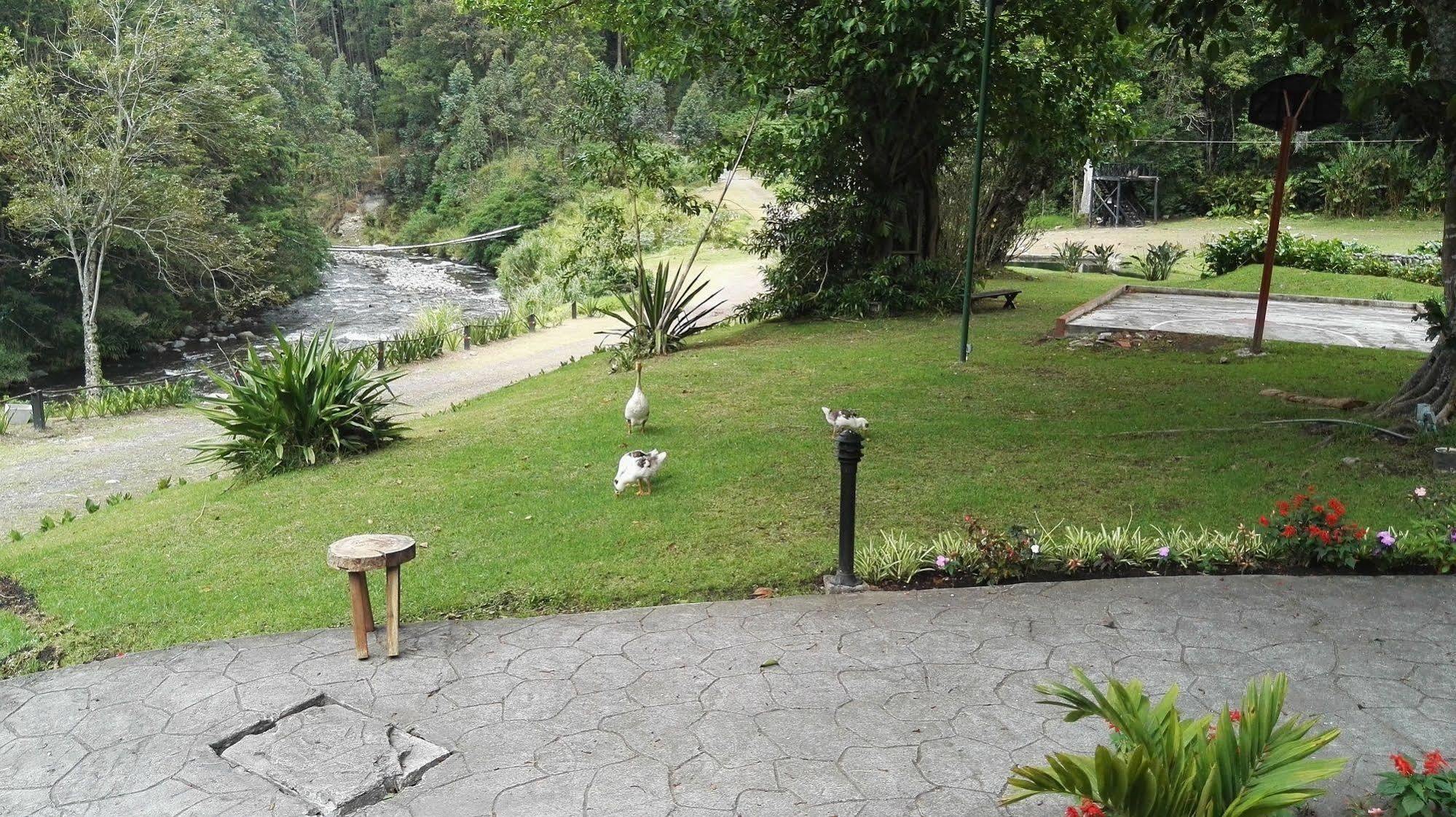 Hotel Casa Grande Bambito מראה חיצוני תמונה